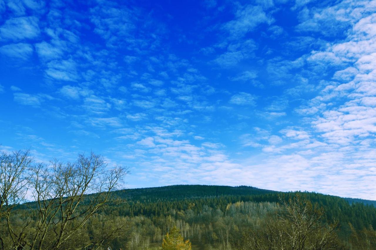 Willa Ostoja Wellness Świeradów-Zdrój Dış mekan fotoğraf